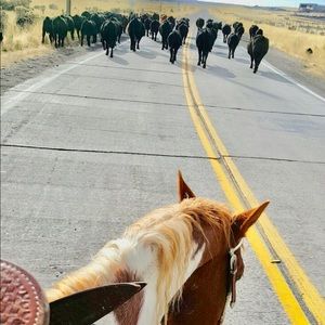 Meet your Posher, Jaydin